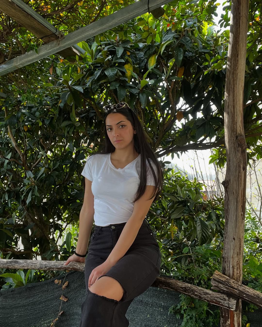 snapins-ai_3589662636971847223