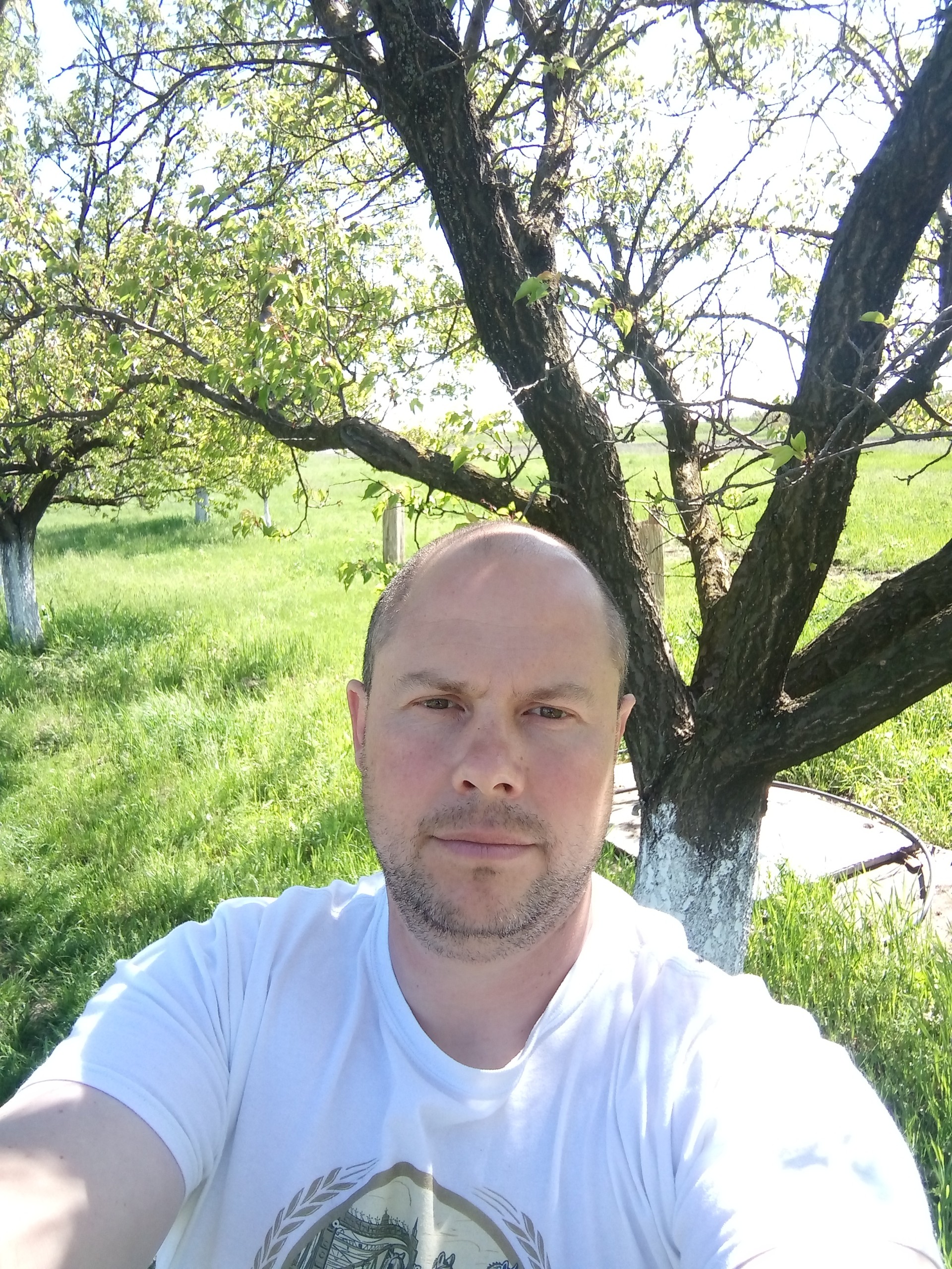 inbound5692663082459959179