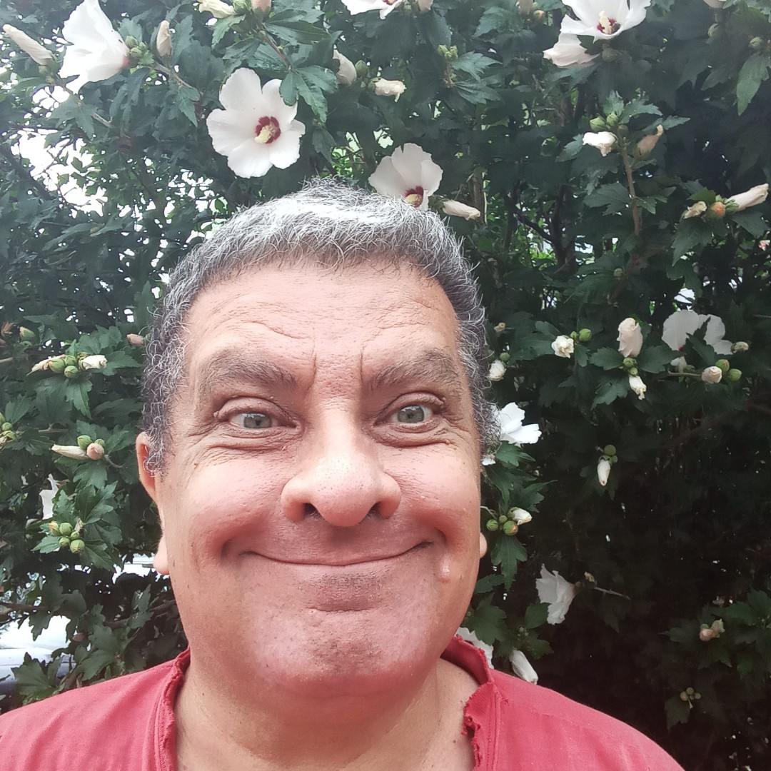 inbound33917632519429864